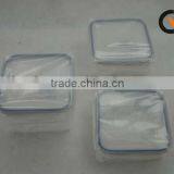 No.HX302 Keeping Frensh Container