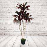 Artificial Red Leaves Dracaena Tree