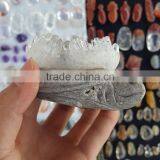 Cute Tortoise Clear Quartz Clusters Animal Carvings