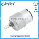 China Manufacturer High Torque Low Rpm 12V Small Electric DC Motor LS013-R520
