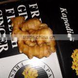 Fresh Ginger thumbnail-1