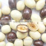 Chinese Fruit Snacks Made by Freshed Fruit and Chocolate thumbnail-1