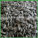 Sale China Black and Cheap Sunflower Seeds For Pet Consumption