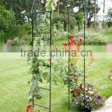 Metal Garden Arch SG4031 thumbnail-1