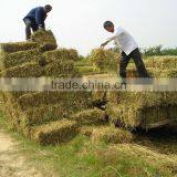 Best Price High Working Efficiency Tractor PTO Use Square Hay Baler, Grass Square Baler,straw Square Baler thumbnail-5