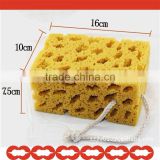 natural sea sponge for cleaning car