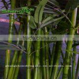 SJLJ013166 Artificial Plant / Fake Plastic Bamboo / Plastic Garden Fence for Home Garden Decoration thumbnail-6