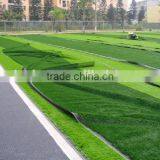 FIFA Factory Price pe Material Fake Turf Artificial Grass Lawn thumbnail-2