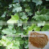 Natural Ivy Leaf Extract thumbnail-1