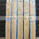 Reed Fence thumbnail-2