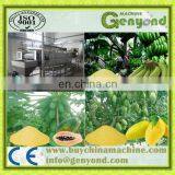 Horny Goat Weed Extract Powder Packing Machine thumbnail-2