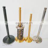 1nzfe 1fz Global Titanium Gold Coating Engine Valve Market OEM Parts for Nissan TB42 TB45 TB48 Y60 Y61 Y62 Tb48 TB48DE thumbnail-4