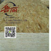 Luliwood Osb5 thumbnail-4