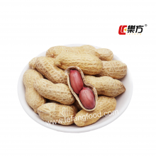 HACCP Certificate Nuts Snacks Roasted Peanuts With Garlic Flavor Wholesale Cheap And Provide OEM Service thumbnail-3
