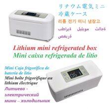 Refrigerated Box thumbnail-3