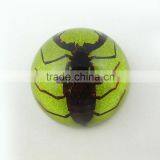 2016 New Style Business Particularly Paperweight With Real Insect Scorpion thumbnail-3