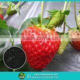 Biomass Fertilizer Control Agent--RSSC Organic Fertilizer thumbnail-2