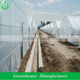 cheap plastic tunnel greenhouse