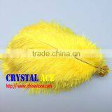 Dyed Ostric Feather, Feather Ostric Plumes for Carnival Costumes thumbnail-6