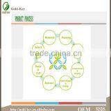 Hot Selling Olive Leaf Extract in Herbal Extract thumbnail-4