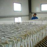 Titanium Dioxide Rutile R299 ( for Plastic) thumbnail-2