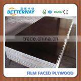 Poplar Veneer Core Brown Phenolic Film Faced Plywood for Construction thumbnail-5