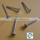 Anping Factory Concrete Nail