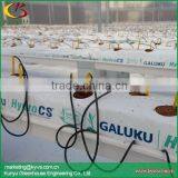 Gutter growing system for greenhouse production hydroponic substrate trough for strawberry