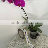 Guangzhou Manufacture Customized Vinyl Transparent Material Wine Stickers Printing Self Adhesive Labels