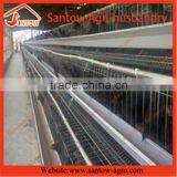 Automatic Chicken Egg Layer Cages Poultry Cage Poultry Farming Equipment for Sale thumbnail-6
