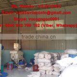 HIGH QUALITY VIETNAM CASHEW NUT thumbnail-3