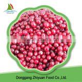 Best Iqf Wild Vacciniumvitis-idaea SGS thumbnail-1