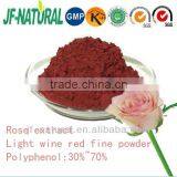 Rose Extract Polyphenol 30% 70% thumbnail-1