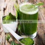 Wheat Grass Straight Powder thumbnail-2