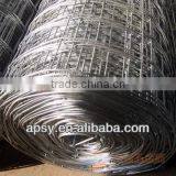 Stainless Steel Wire Mesh/best Quality/mnufacturer