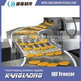 Hot Selling Spiral Freezer FS With High Quality thumbnail-6