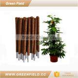 Plant Support Climbing Pole for Plants From Coir thumbnail-1