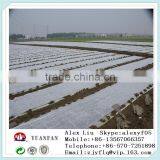 China Agricultural PP Non-woven Fabric thumbnail-3