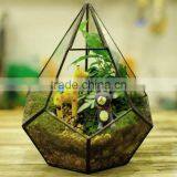 Micro Landscape Decor Handblown Clear Irregular Geometric Glass Terrarium thumbnail-1