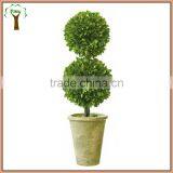 Preserved Double Same Size Boxwood Ball Tree thumbnail-1
