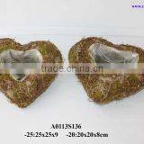 Heart Shape Pot for Plant thumbnail-1