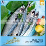 China Seafood Export Frozen Pacific Mackerel thumbnail-4