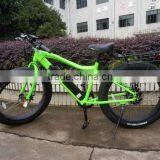 48v 750w Strong powered brushless hub motor electric bicycle fat tire electric bike