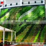 Hotsale green wall ecofriendly artificial vertical green wall