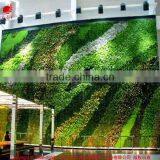 Hotsale Green Wall Ecofriendly Artificial Vertical Green Wall thumbnail-1