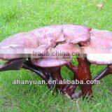 Mushroom Extract 100% Naturnal Ganoderma Extract thumbnail-1