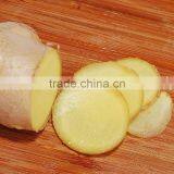 Young Ginger From China thumbnail-4