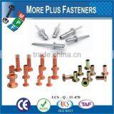 Made In Taiwan Standard Non-Standard Custom OEM Customize Rivet thumbnail-3