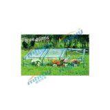 GOLD FRAME thumbnail-1