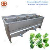 Industrial Vegetable Blanching Machine/Easy Operate Potato Chips Blanching Machine